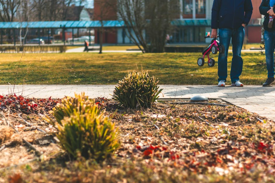Namų priežiūra sezonui prasidedant: kontrolinis sąrašas prieš pavasarį