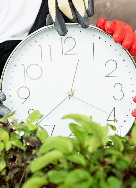 Pasidaryk pats namų priežiūra: 12 užduočių, kurias verta atlikti prieš prasidedant sezonui