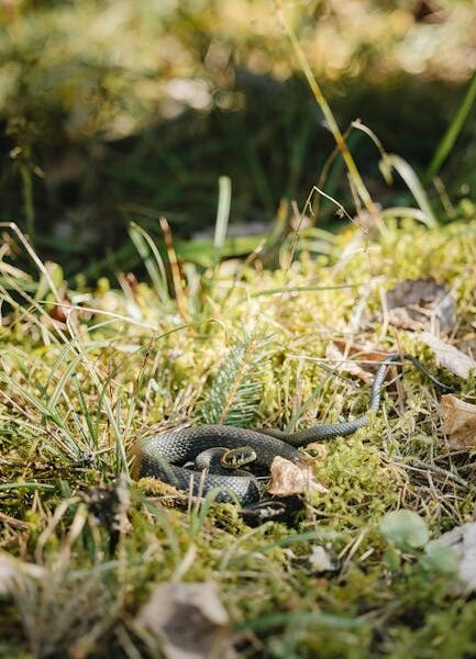 Pirk dabar, ar vėliau? Gidas, kaip įvertinti kainą, laiką ir vertę prieš kiekvieną didesnį pirkimą