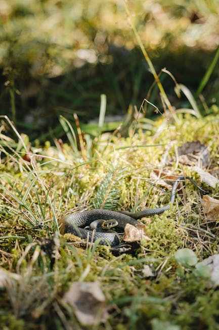 Pirk dabar, ar vėliau? Gidas, kaip įvertinti kainą, laiką ir vertę prieš kiekvieną didesnį pirkimą