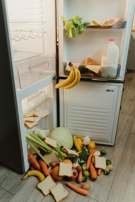 Švieži produktai greitai dedami į šaldytuvą po apsipirkimo