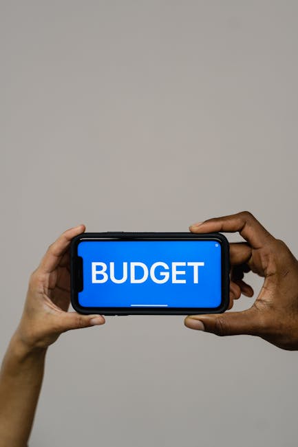 Asmuo žiūri į biudžeto programėlę telefone, matosi išlaidų kategorijos ir limitai
